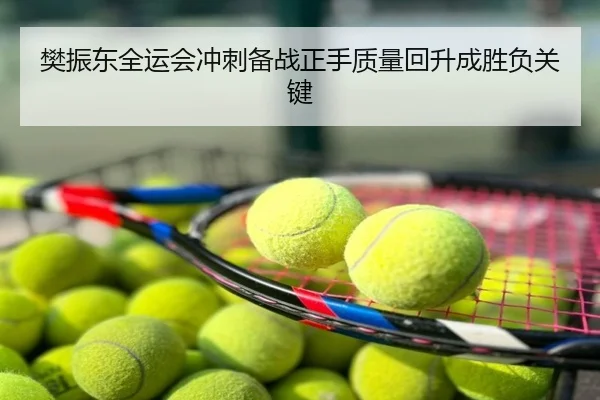 樊振东全运会冲刺备战正手质量回升成胜负关键